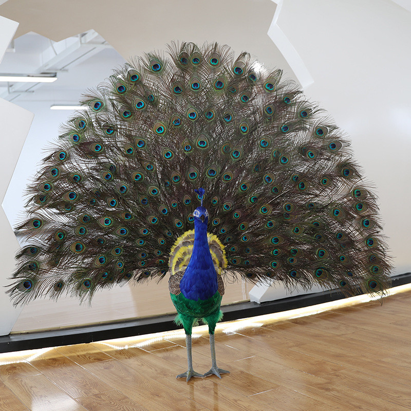 厂家直销羽毛摆设开屏孔雀摆件家居园林橱窗装饰布景仿真摄影道具