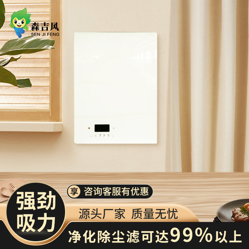 新风系统家用壁挂新风机全屋新风机通风换气装修除甲醛防霾净化