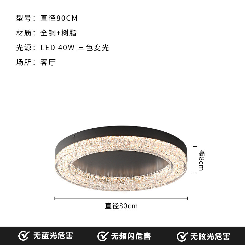 意式极简客厅吸顶灯现代简约高端设计师2024新款家用主卧室房间灯