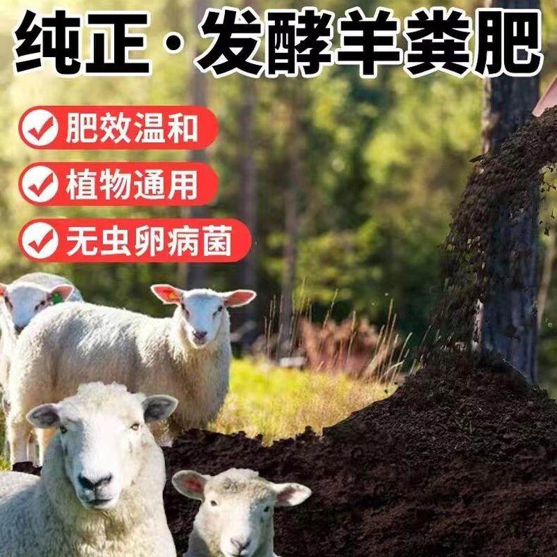 羊粪发酵蔬菜花卉盆栽园林改良花卉土壤底肥发酵纯羊粪