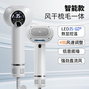 宠物智能电动吹梳一体机猫咪吹毛梳毛拉毛清洁猫狗祛毛梳美容用品