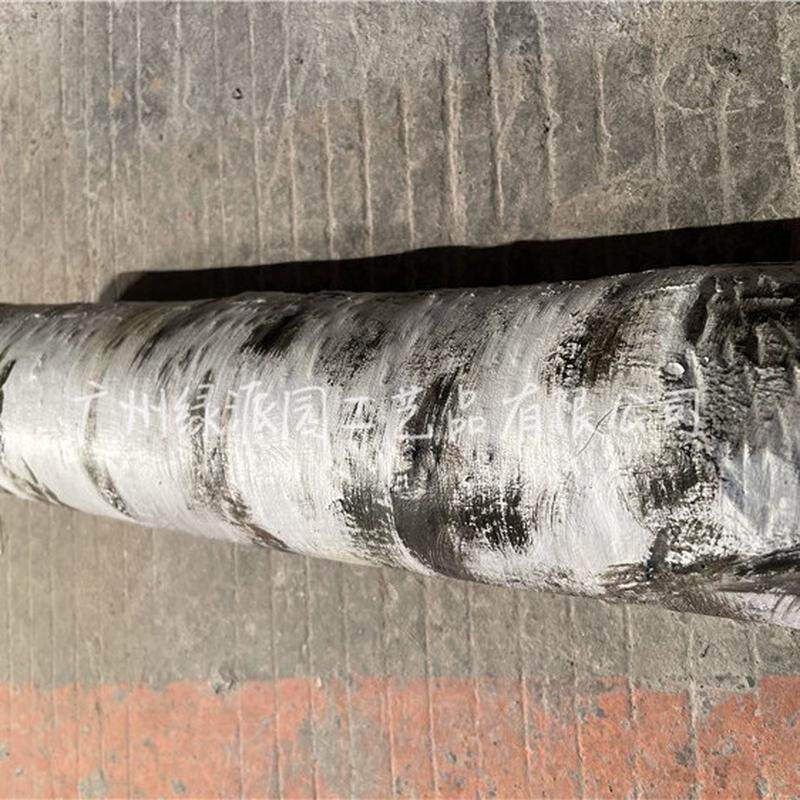 热销橱窗枯树干树枝真白桦树干白树枝装饰商场白桦树仿真实木防腐