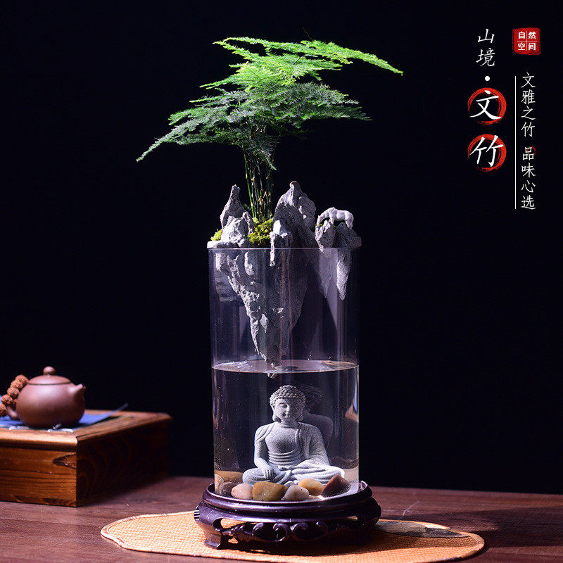 文竹盆栽赤楠菖蒲微景观水景茶室办公室观赏中式盆景好养植物送礼