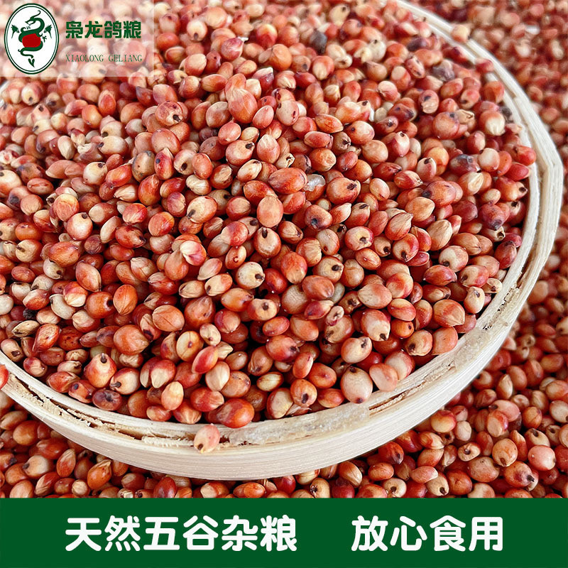 枭龙鸽粮红高粱皖粮50斤浙江沪澳包邮