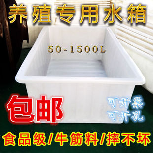 特厚牛筋水箱长方形大水产养鱼养殖盆厨房大胶水桶养虾储水桶塑料