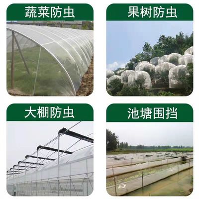 防虫网批发加密加厚瓜果蔬菜大棚防护新料防蚊蚂蚱网絮棉柳防网罩