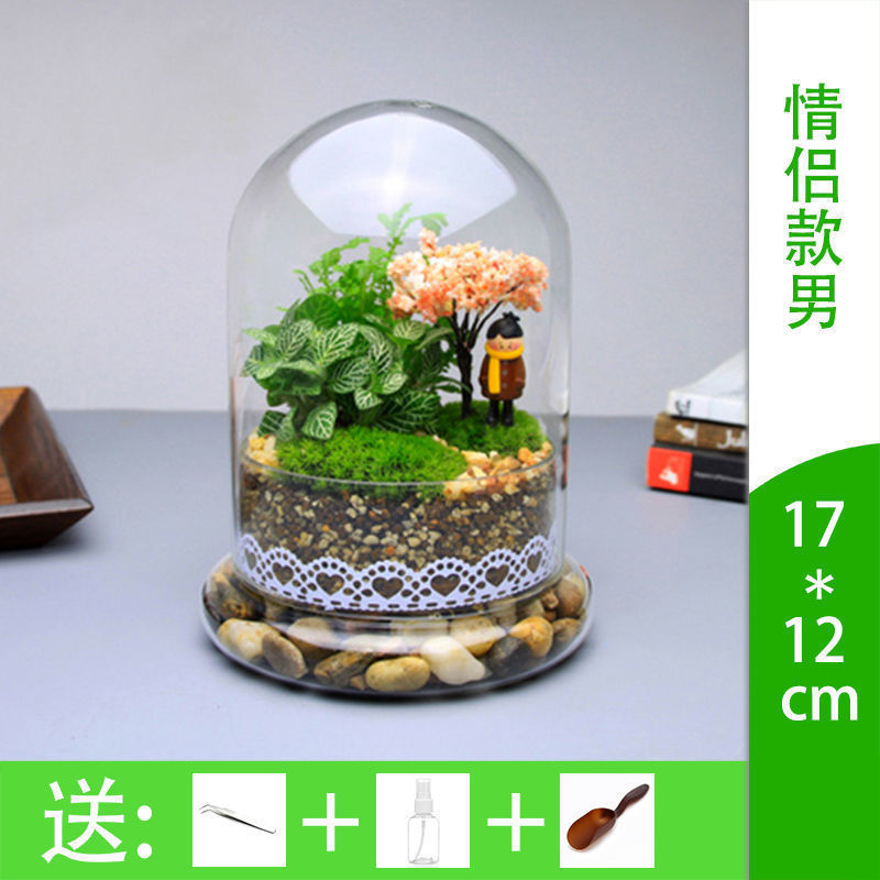 微景观摆件材料包苔藓绿植物玻璃组合盆栽生态瓶微观盆景套装