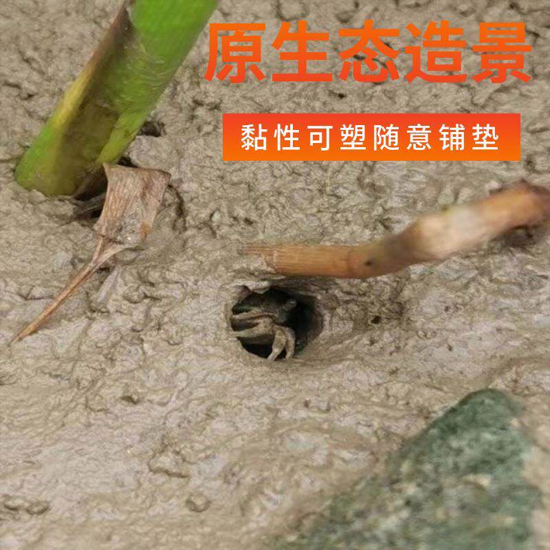 辣椒蟹观赏蟹小螃蟹铺底造景生态泥泥巴河泥打洞微景观造景滩涂泥