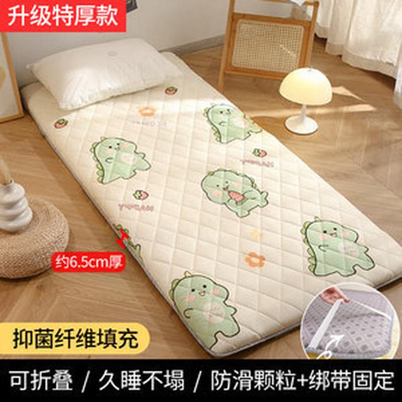 家用加厚床垫地铺软垫租房专用睡垫榻榻米褥子宿舍垫子夏季艳阳天图片