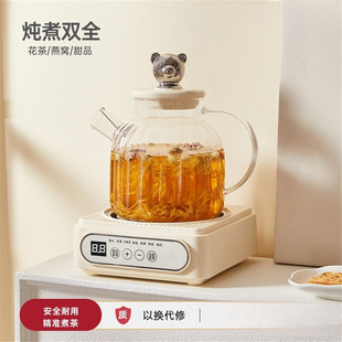 全玻璃养生壶办公室花茶家用多功能炖煮茶壶器小型烧水壶 2025新款