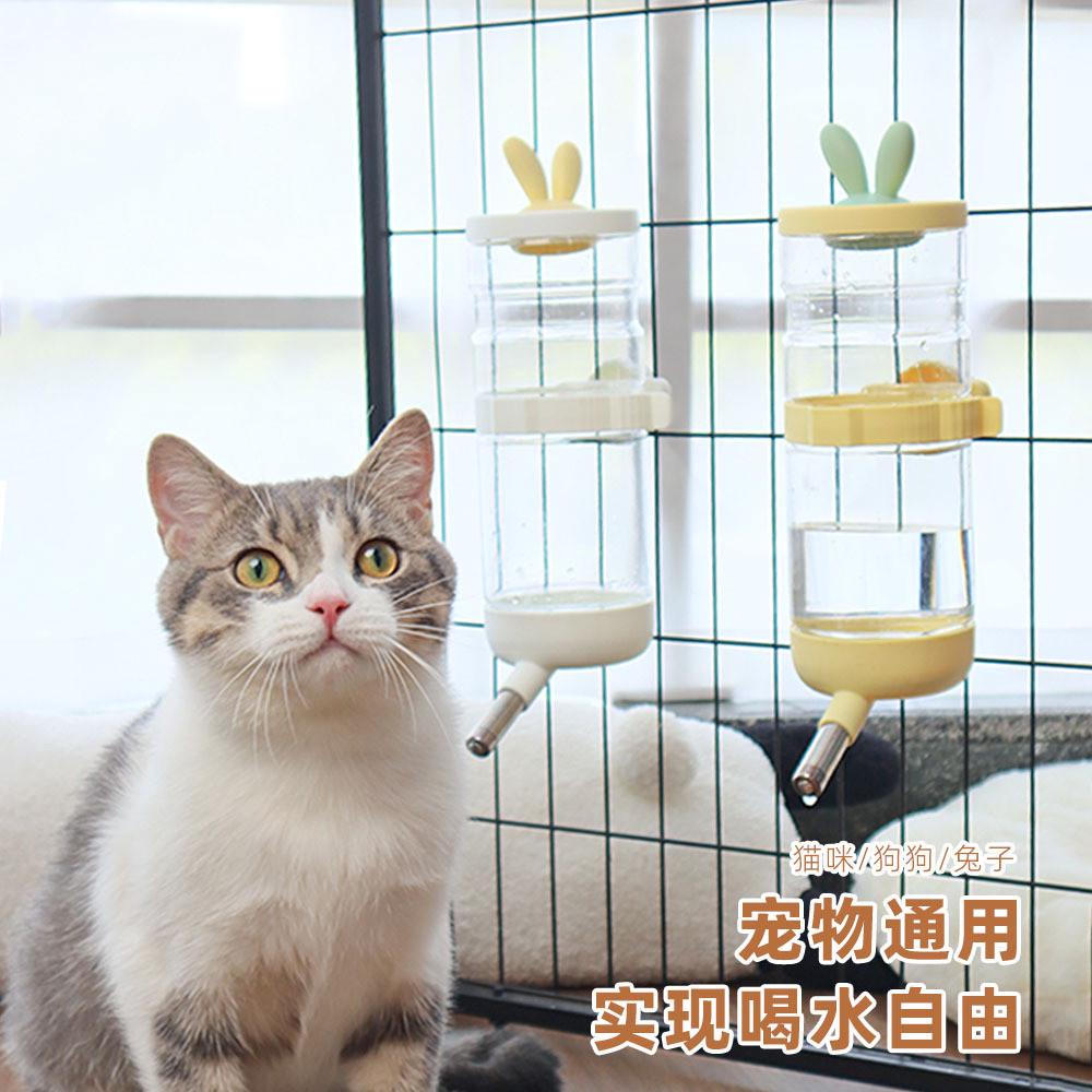 新款宠物自动饮水器悬挂式不湿嘴狗狗喝水壶兔耳猫咪饮水机批发