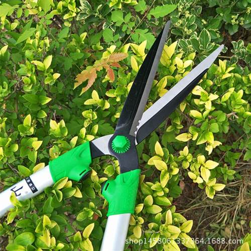 批发供应山藤草坪剪修枝花剪园林绿化剪刀剪篱剪冬青整绿篱剪