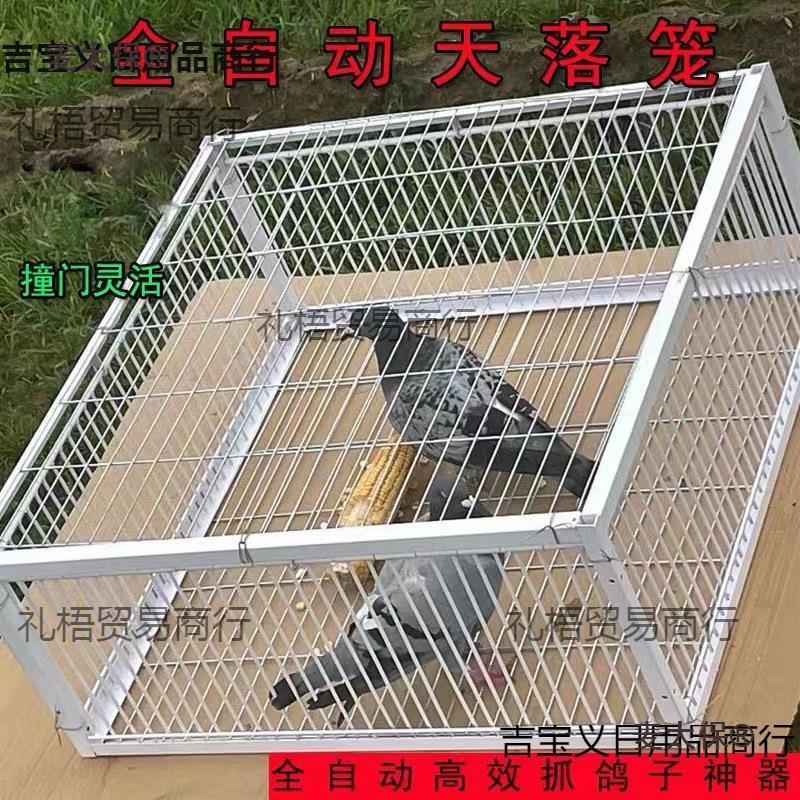 麦太保捕鸽神器 抓鸽子笼全自动收鸽笼天落笼楼顶户外只进麦太保