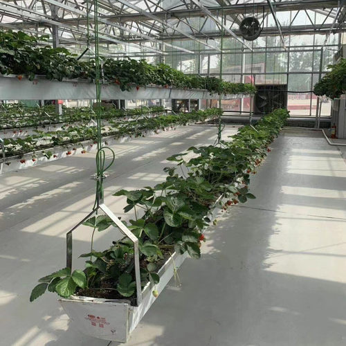 温室大棚耳朵加厚材质单层立体种植用耐腐蚀大pvc椰糠栽培槽
