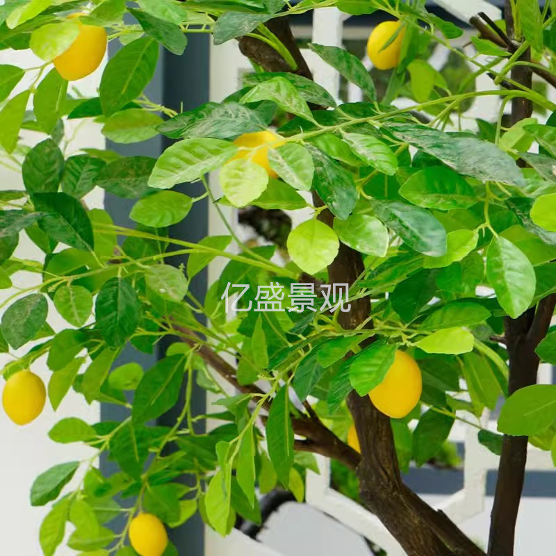 仿真柠檬树室内外景观装饰大型新中式假果树造景人造仿真柠檬树