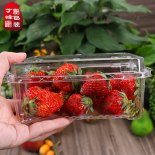 加厚500m吸打包盒盒折叠盖水果塑100只透明塑料食品盒冬枣盒现货