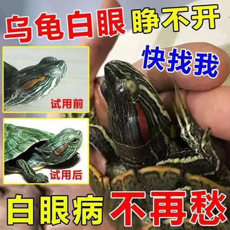 乌龟白眼病专用特效药水巴西龟草龟眼睛睁不开蒙眼红肿发炎滴眼液
