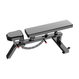 厂家直销健身房器械多功能卧推凳可调节哑铃凳腹肌板罗马凳牧师椅