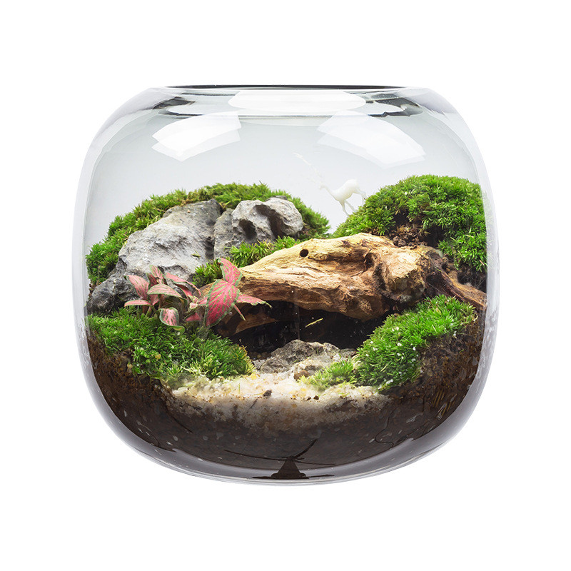 【麋鹿森林】diy植物盆栽青苔藓创意生态缸成品微景观桌面大造景