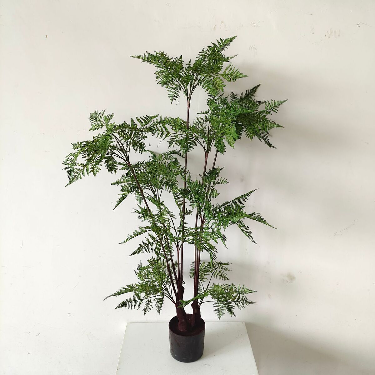 常青仿真绿植盆栽橱窗软装家居落地饰品仿真造景设计铁线厥文竹