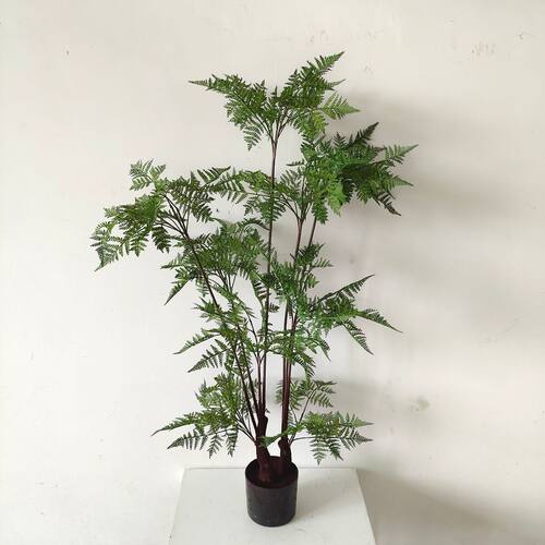 造景仿真绿植盆栽橱窗软装家居落地饰品设计常青仿真铁线厥文竹
