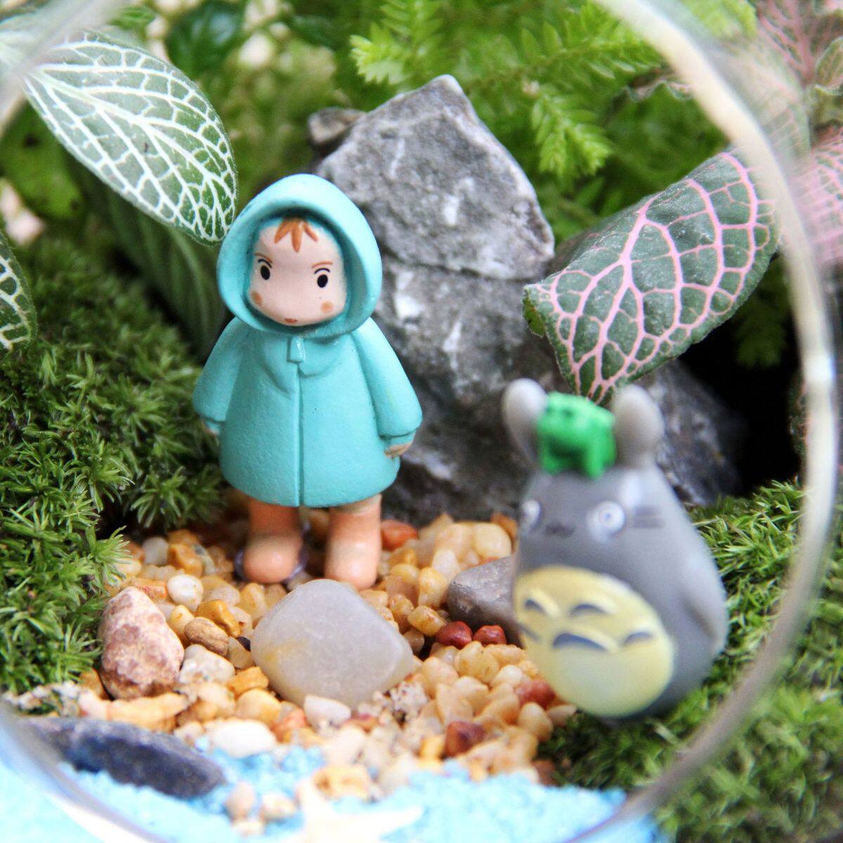 苔藓微景观创意礼品苔藓绿植摆件瓶生态瓶蛋形瓶植物小世界