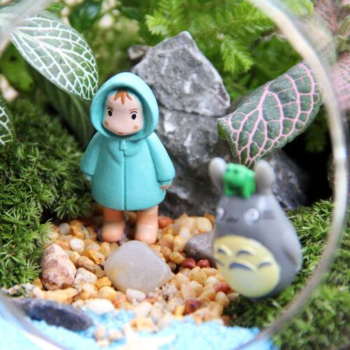 苔藓微景观创意礼品摆件绿植苔藓瓶生态瓶小瓶植物蛋形世界