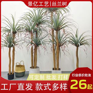 仿真丝兰树盆栽北欧风荷兰铁假树龙葵多仿真杆龙血树装饰落地盆栽