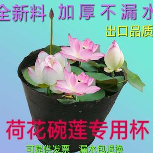 无孔营养钵加厚不漏水睡莲荷花莲花盆碗莲水生植物育苗盆水盆水盒