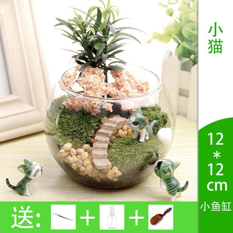 微景观摆件苔藓微观绿植物玻璃组合盆栽生态瓶材料包盆景套装