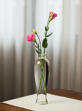 日式玻璃花瓶透明禅意中式插花花器小口细口水养水培摆件梅瓶新款