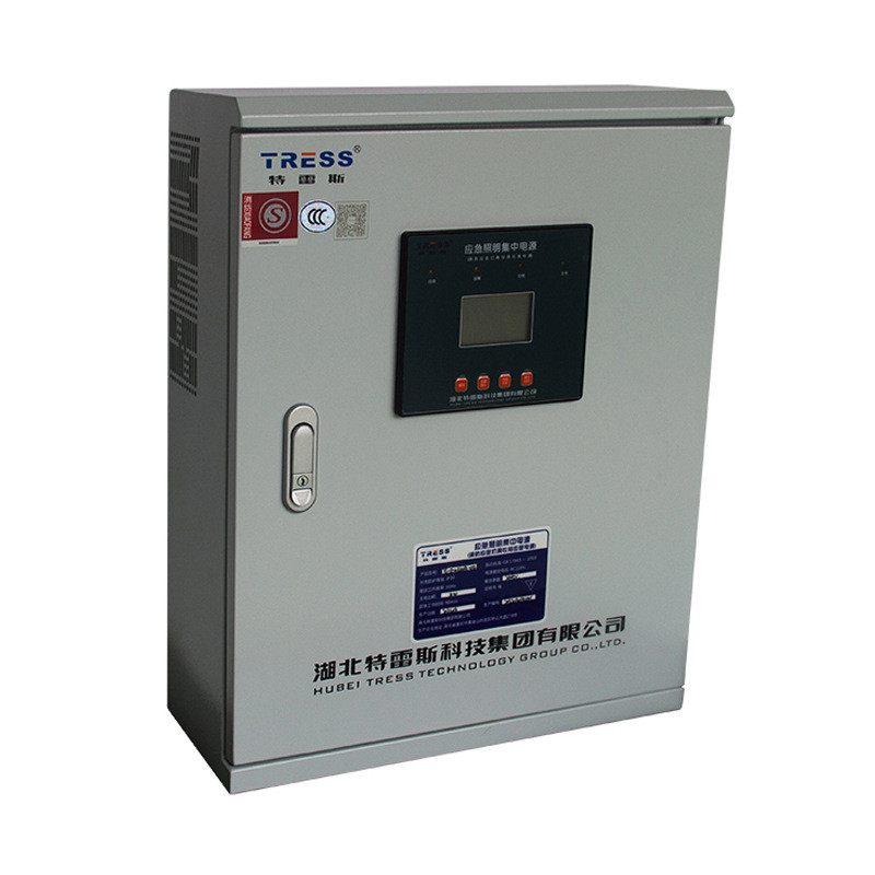 A型应急照明集中电源TL-D-0.3KVA-04疏散系统配电箱壁挂式24v36v
