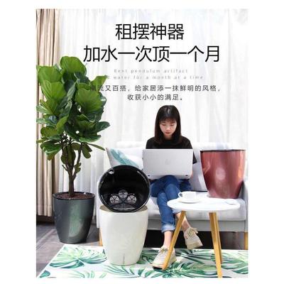 欧林办公室落地花盆室内商场泽种植盆阳台租摆棉线懒人吸水盆