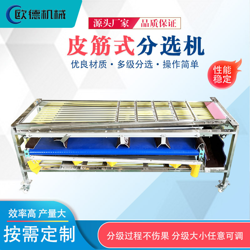 红杏千禧圣女果选果机直径筛选蓝莓樱桃荔枝皮筋桂圆龙眼分选机
