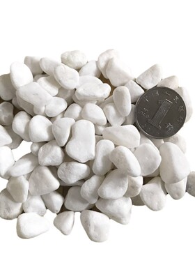 批发白色鹅卵石园艺白色铺面小石头园林枯山水造景盆栽石子白石子