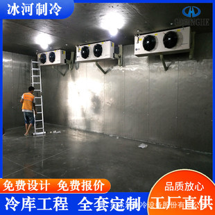 热销水果蔬菜保鲜冷库全套设备商用大小型肉类海鲜冷冻库冷藏安装