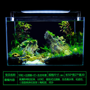 真水草家用小型客厅办公室桌面鱼缸水族箱生态草缸装饰布造景套餐