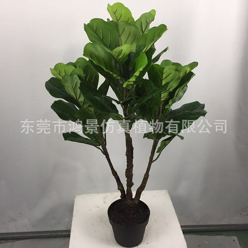 新款仿真琴叶榕盆栽树饰叶假装胶布盆景东莞厂家绿植仿真植物家居