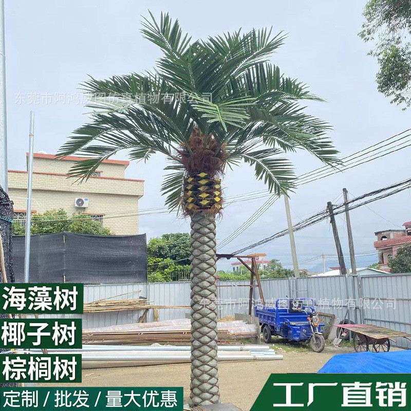 仿真海枣树椰子树大型加纳利海藻树游乐园商场恐龙园装饰景观树