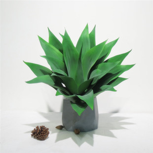 特大龙舌兰哈派仿真花仿真花批发龙舌兰植物墙装饰绿植