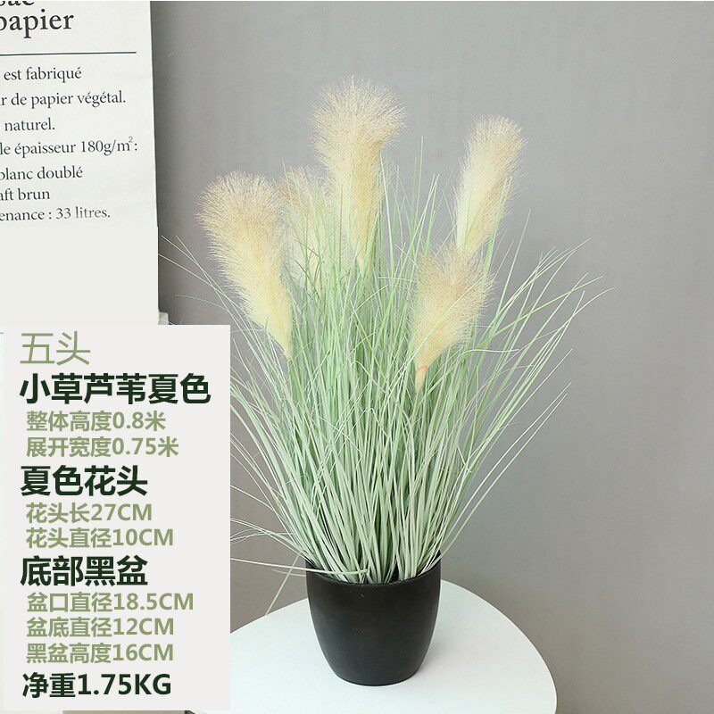 仿真绿植盆栽摆放盆栽欧式装饰客厅玄关摆件门口装饰芦苇厂家批发