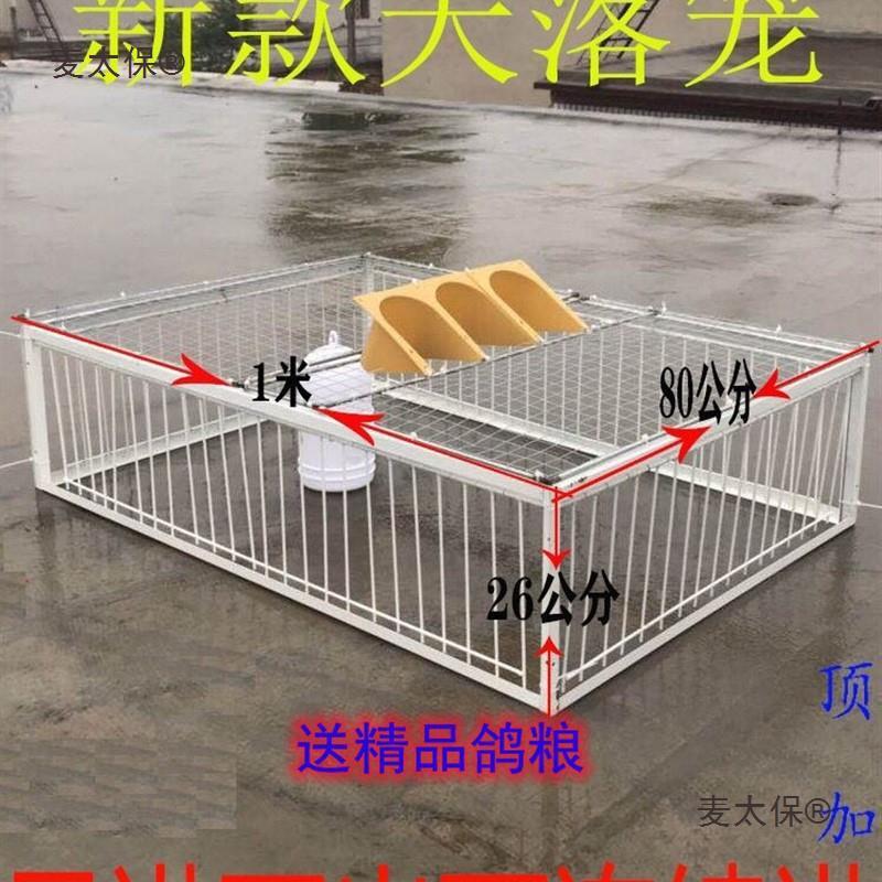捕野鸽子天落笼只进不出神器鸽子笼撞门笼自动跳门收鸽笼鸽麦太保
