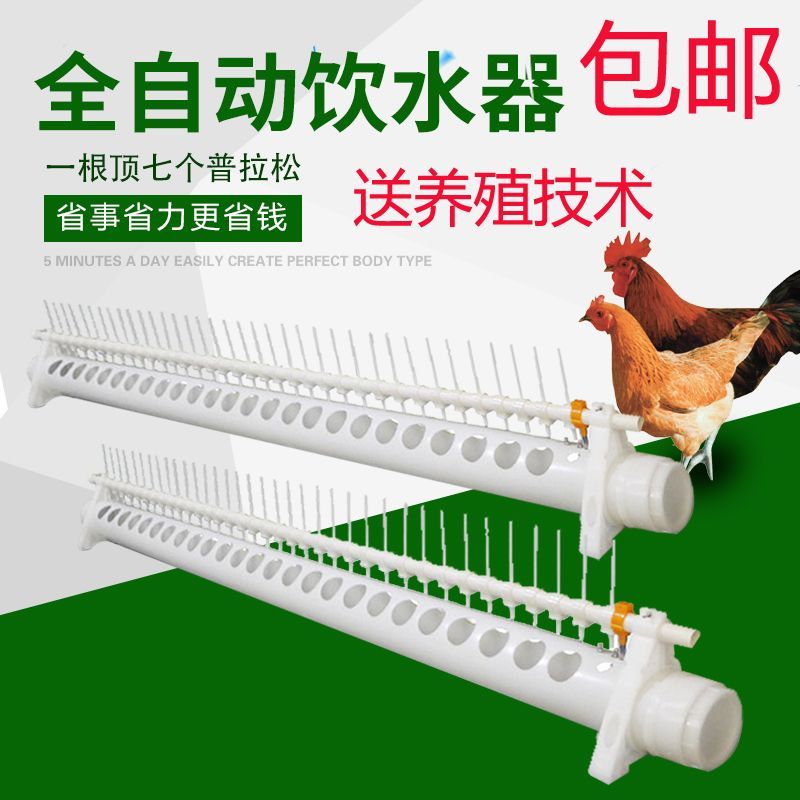 新型鸡饮水器自动喂水新款鸡鸭鹅养鸡自动饮水槽鸡用家禽包邮