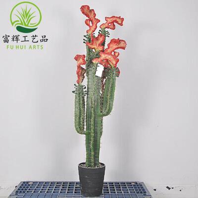 仿真火麒麟仙人掌鸡冠仙人柱花盆栽套装组合家居装饰摆件道具批发