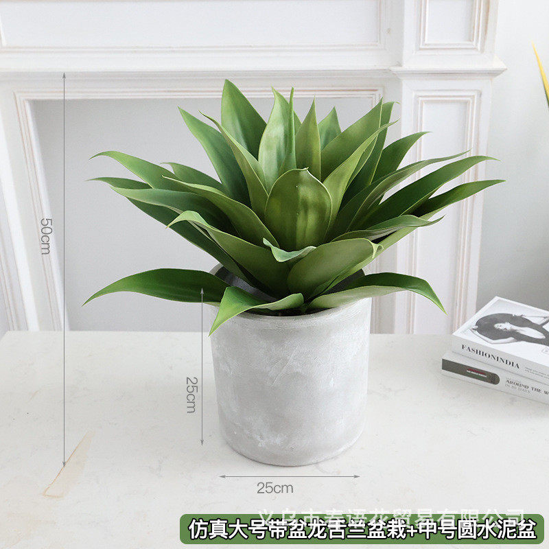 仿真绿植剑兰剑麻大叶盆景沙漠植物热带橱窗造景装饰假植物现货