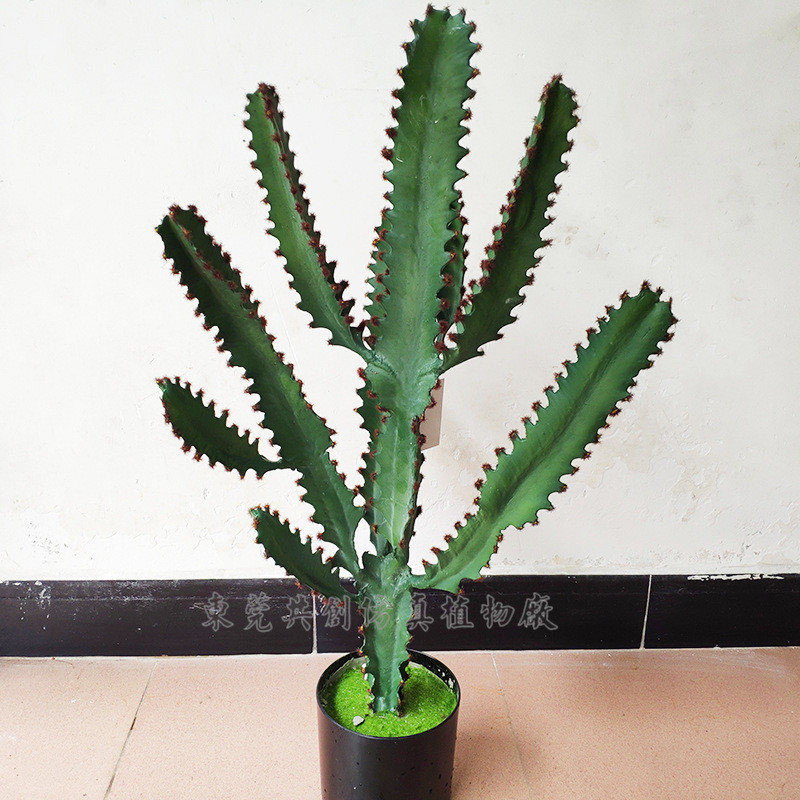 仿真小肉类植物仙人掌PU材质软手感仙人柱盆栽三棱箭室内摆件