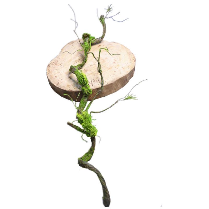 树枝森系垂挂树藤藤条花艺摆放造景装饰陈列假枯藤藤青苔苔藓