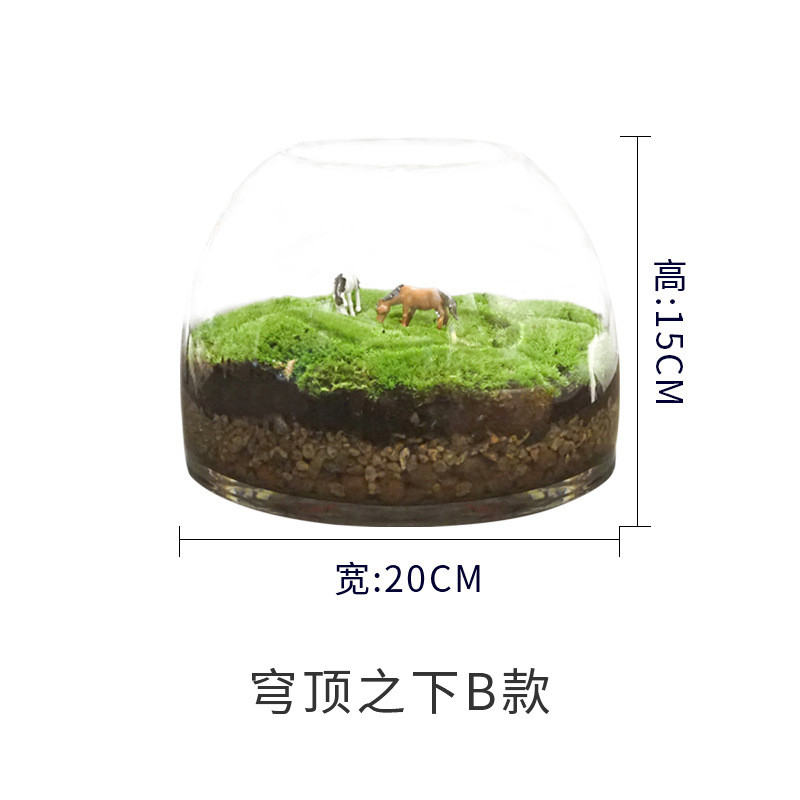 2u8k青苔苔藓植物景观闷养瓶微景观微观生态瓶微缩盆景盆栽造景成