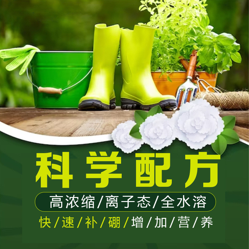 糖醇硼10公斤/桶着色花坐果.花芽分化促增甜.防止裂果延长保险期.