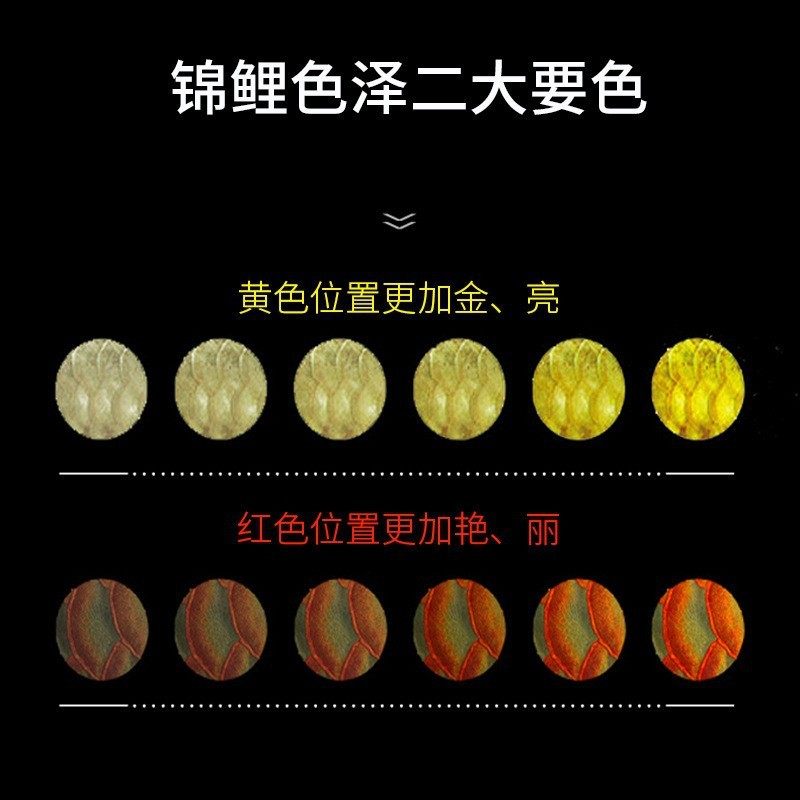 海豚锦鲤鱼饲料开口色扬增体幼鱼育成金鱼锦鲤鱼食鱼粮鱼饲料20kg,宠物/宠物食品及用品,观赏鱼饲料,淘宝优惠券,粉丝福利购,淘宝优惠卷